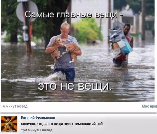 Прикольные картинки, интересные цитаты и мысли