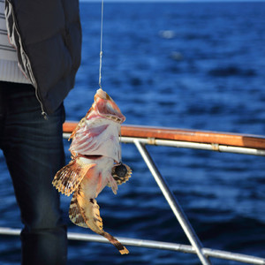 Магадан, старые и новые фотки