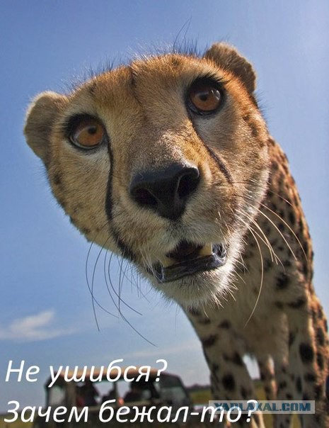 Картинки на пятницу