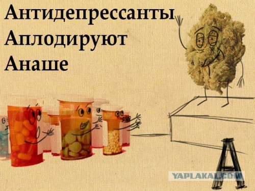Наркоман, штоле? Тогда заходи