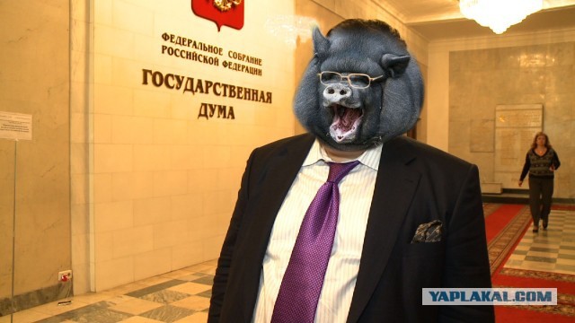 НДС с заграничных покупок- поручение Президента