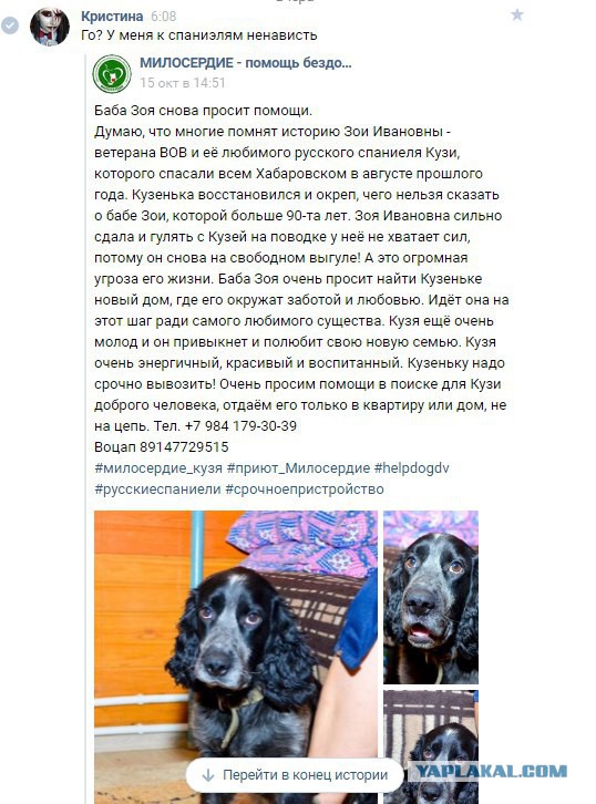 Живодерки из Хабаровска