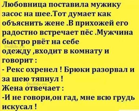 Галопом по Европам. Нидерланды и Бельгия. Введение