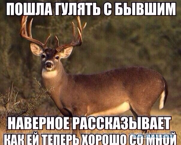 Жена изменяет? Или нет?