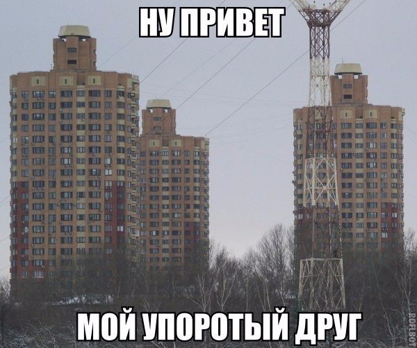 Подборка безудержного веселья