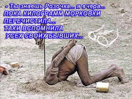 Анекдоты в картинках (16+)