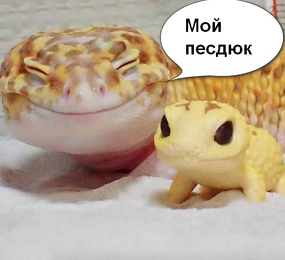 29 картинок