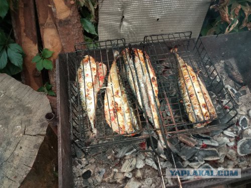 Дом, милый дом или "таунхаус" по-простому
