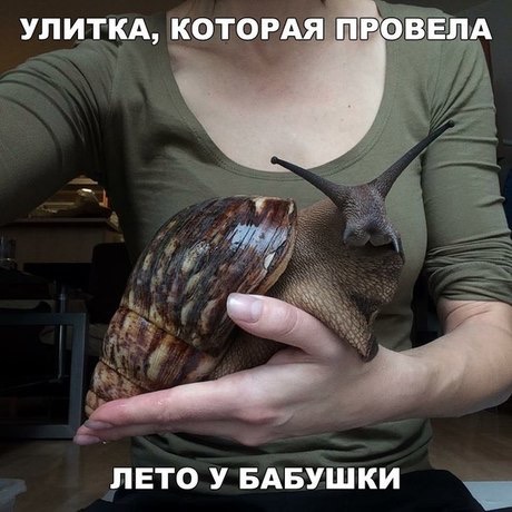 Wargaming 50! Пыщ пыщ, пробил! Урааа!