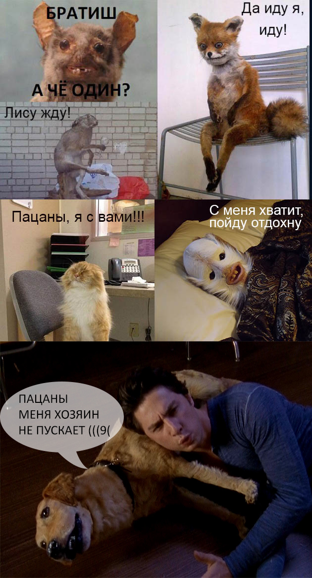 Прикольные картинки.