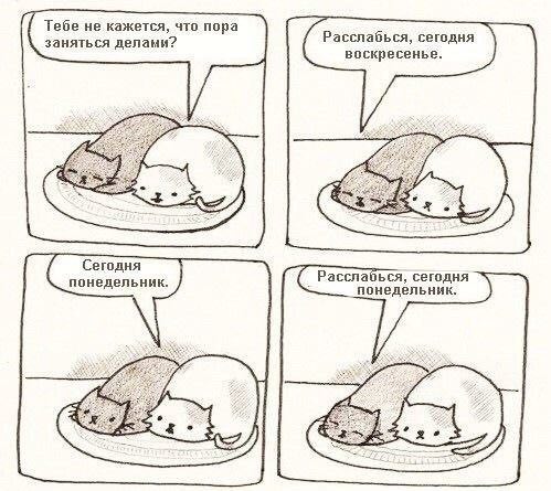 Немного картинок на вечер