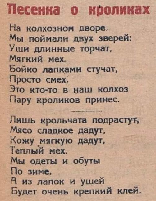 Почти три десятка неловких ситуаций, когда люди поняли, что их собеседники умом совсем не блещут
