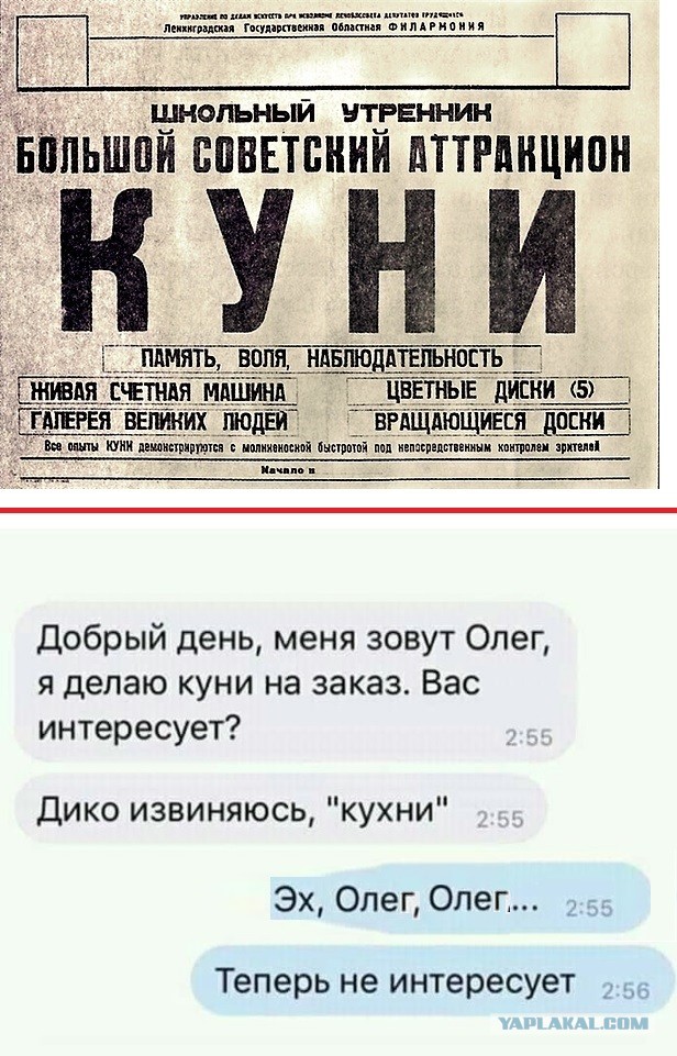 13447696.jpg