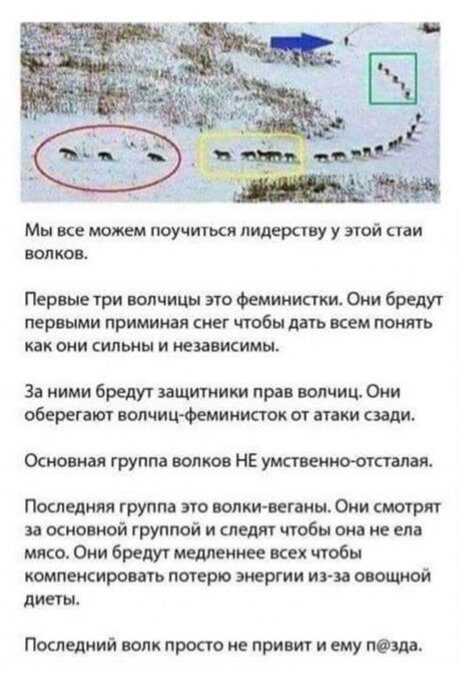 Кретинки