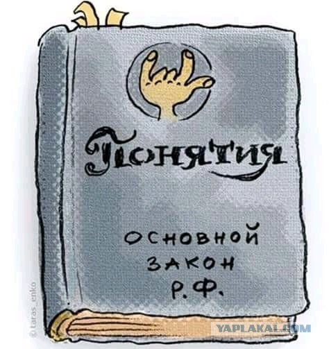 Новая Конституция ?
