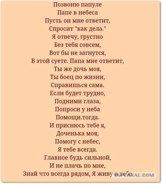 Чернушка