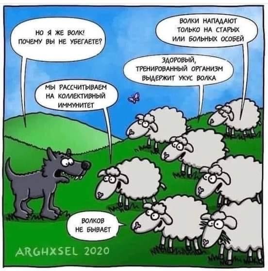 Андреева возмутилась