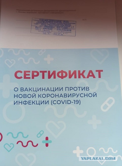 Путин поручил начать массовую вакцинацию всех россиян от коронавируса