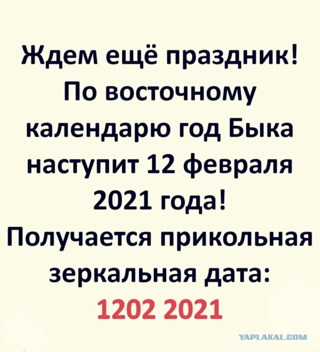 Пикчеслив 16.01.21