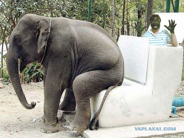 Из серии "отфотошопте меня"