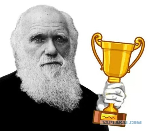 Подросток устроил ДТП с пятью жертвами