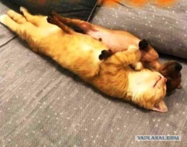 Соединение установлено