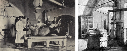 Форт «Император Александр I» (чумной) в Финском заливе