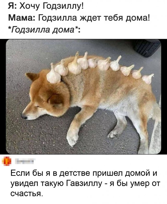 Человек собаке друг и другие картинки под настроение 13.01.2022