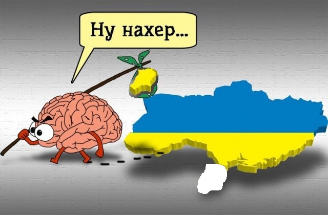 Активисты принесли дрова и бензин под посольство РФ в Киеве.