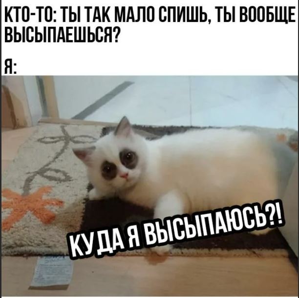 Невысыпающиеся