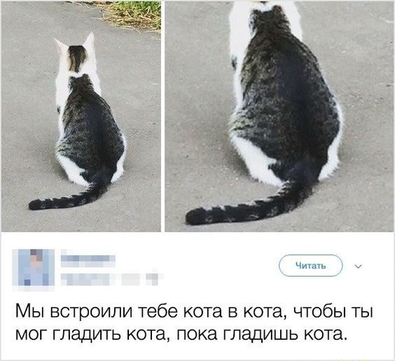 Картинки и мемы для настроения - 23