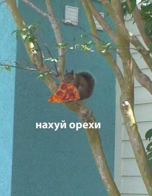 Поржать немного с утра!