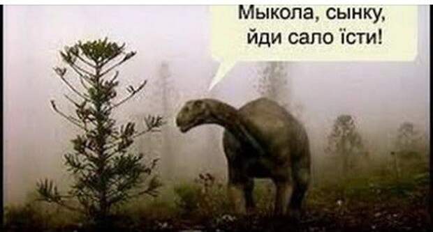 Волгатитан: Останки титанического ящера нашли прямо на берегу Волги. Что это за русский динозавр?