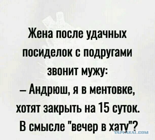 Перлы - 07.02.2023