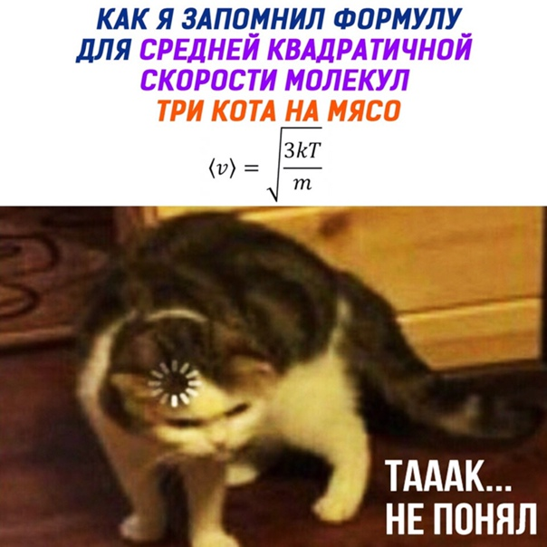 3 Кота На Мясо Формула