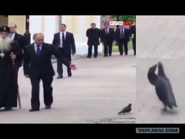 Сколько можно бронировать места для авто?!