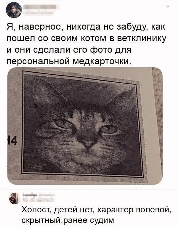 Так себе картинки 18.03.25