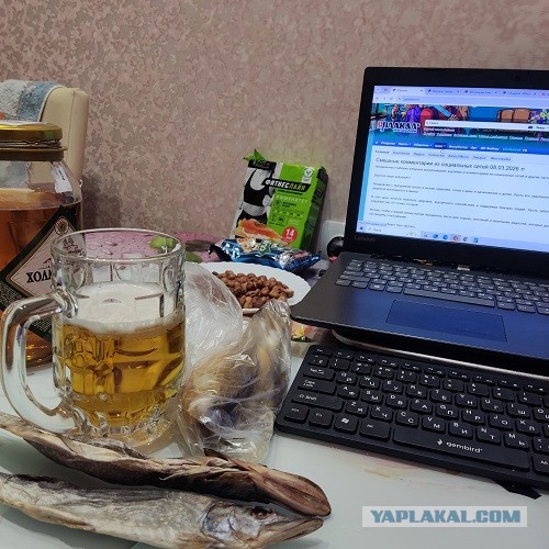 Камрады, а среди нас есть волки одиночки?