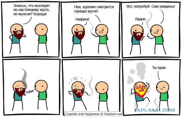 Приколы и маразмы 2
