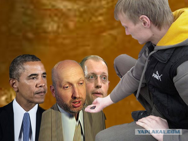 Хочу кормить диких животных