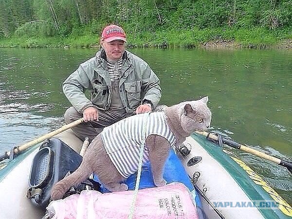 Порыбачил...