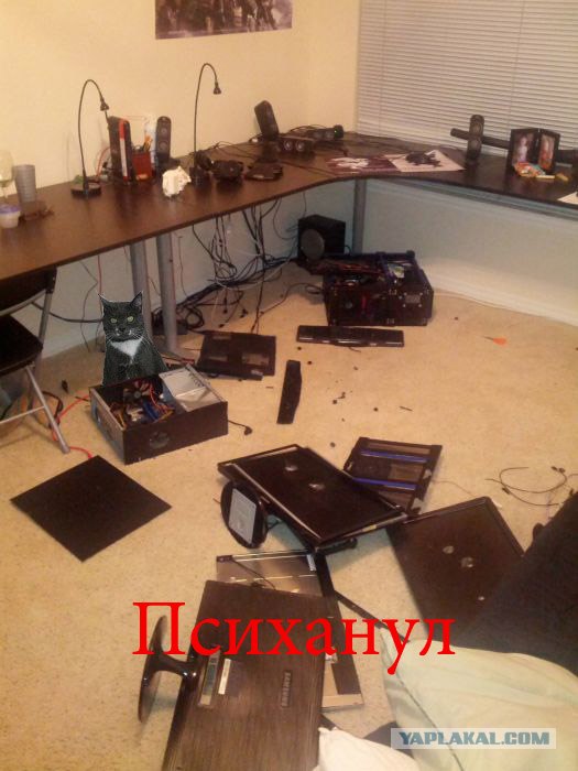 Грандиозный погром