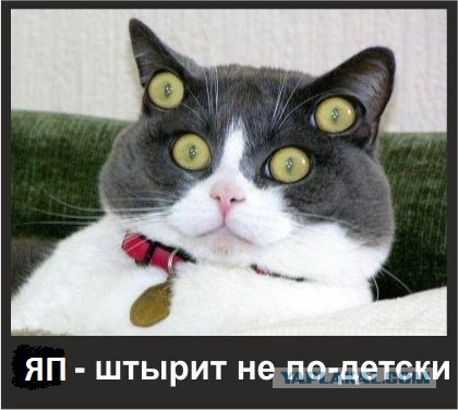 Я сейчас в Киеве под АП, срочно пришлите колбаски?