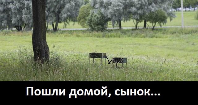 "Никто не придет": галерея покинутых мангалов