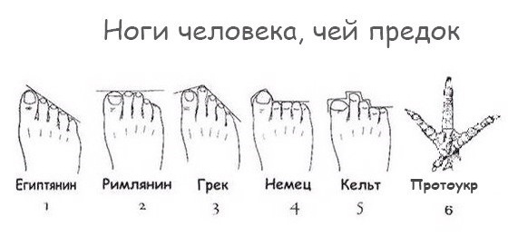 Немного картинок на воскресенье