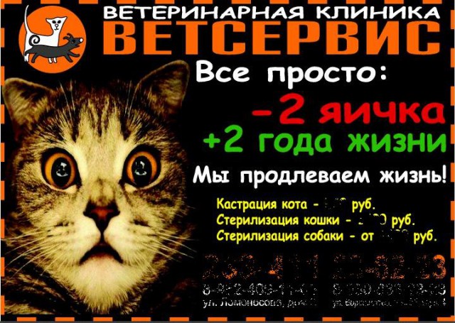 Народный креатив в вывесках, рекламах и пр.