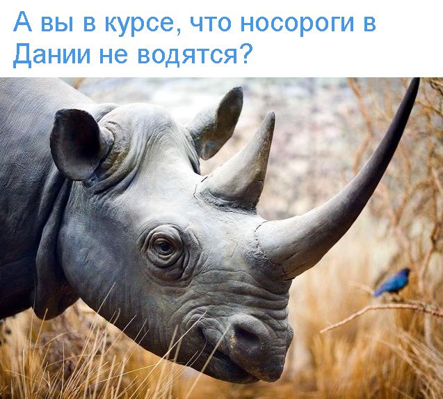 Этот математический фокус научит вас читать мысли