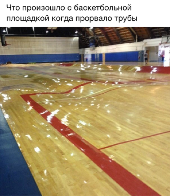 Фотоподборка на пятницу