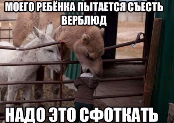 30 личных наблюдений