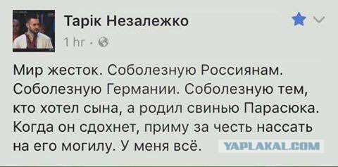 Подсмотрено на просторах
